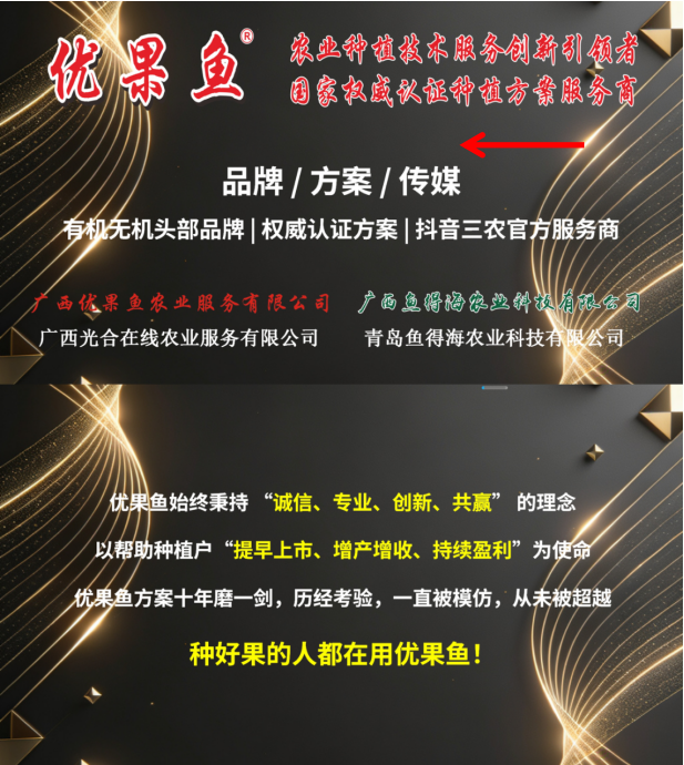 品牌矩阵