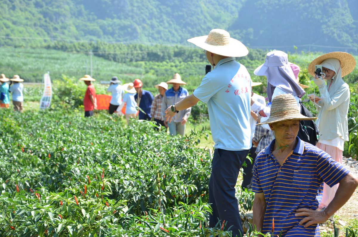 优果鱼示范观摩会现场照片